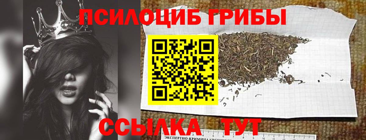 Галлюциногенные грибы Cubensis  Галлюциногенные грибы прущие грибы  где купить наркоту  Вход с VPN  Нововоронеж 